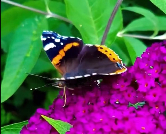 王德宽老师:国网客服专员OFFICE技能提升二期